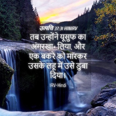 Picture 04 - उत्पत्ति 37:31 HINIRV - तब उन्होंने यूसुफ - Bible Verse Picture