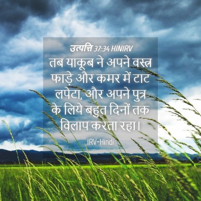 Picture 04 - उत्पत्ति 37:34 HINIRV - तब याकूब ने अपने - Bible Verse Picture