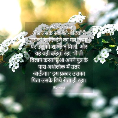 Picture 04 - उत्पत्ति 37:35 HINIRV - और उसके सब - Bible Verse Picture