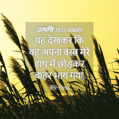 Picture 04 - उत्पत्ति 39:13 HINIRV - यह देखकर कि वह अपना - Bible Verse Picture