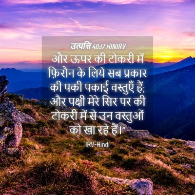 Picture 04 - उत्पत्ति 40:17 HINIRV - और ऊपर की टोकरी में - Bible Verse Picture