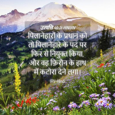 Picture 04 - उत्पत्ति 40:21 HINIRV - पिलानेहारों के - Bible Verse Picture