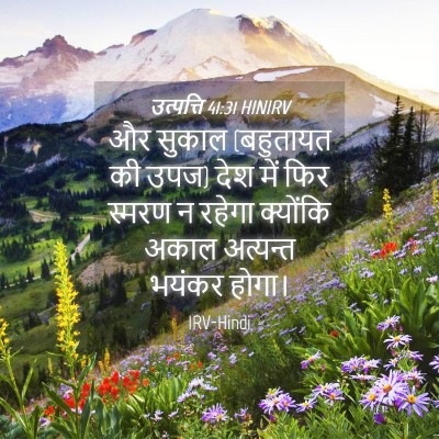 Picture 04 - उत्पत्ति 41:31 HINIRV - और सुकाल (बहुतायत - Bible Verse Picture