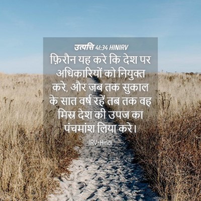 Picture 04 - उत्पत्ति 41:34 HINIRV - फ़िरौन यह करे कि - Bible Verse Picture