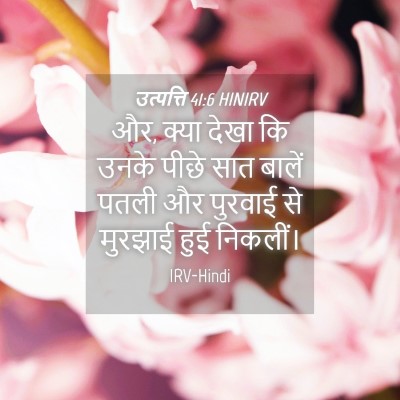Picture 04 - उत्पत्ति 41:6 HINIRV - और, क्या देखा कि - Bible Verse Picture