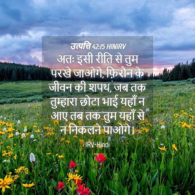 Picture 04 - उत्पत्ति 42:15 HINIRV - अतः इसी रीति से तुम - Bible Verse Picture