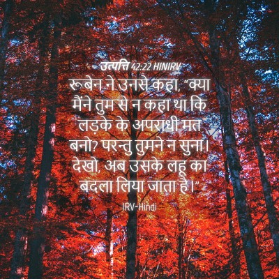 Picture 04 - उत्पत्ति 42:22 HINIRV - रूबेन ने उनसे कहा, - Bible Verse Picture
