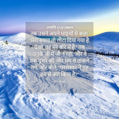 Picture 04 - उत्पत्ति 42:28 HINIRV - तब उसने अपने - Bible Verse Picture