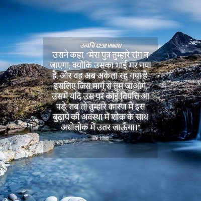 Picture 04 - उत्पत्ति 42:38 HINIRV - उसने कहा, “मेरा - Bible Verse Picture