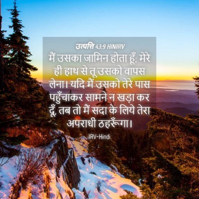 Picture 04 - उत्पत्ति 43:9 HINIRV - मैं उसका जामिन - Bible Verse Picture