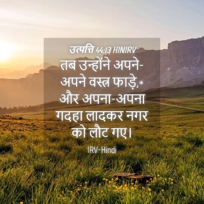 Picture 04 - उत्पत्ति 44:13 HINIRV - तब उन्होंने - Bible Verse Picture