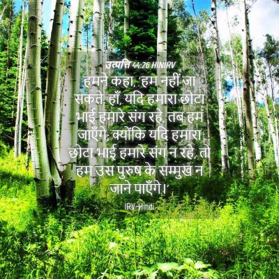 Picture 04 - उत्पत्ति 44:26 HINIRV - हमने कहा, 'हम नहीं - Bible Verse Picture