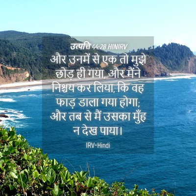 Picture 04 - उत्पत्ति 44:28 HINIRV - और उनमें से एक तो - Bible Verse Picture