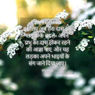 Picture 04 - उत्पत्ति 44:33 HINIRV - इसलिए अब तेरा दास - Bible Verse Picture