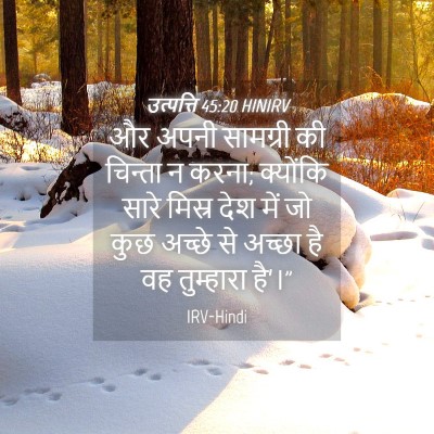 Picture 04 - उत्पत्ति 45:20 HINIRV - और अपनी सामग्री की - Bible Verse Picture