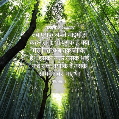 Picture 04 - उत्पत्ति 45:3 HINIRV - तब यूसुफ अपने - Bible Verse Picture