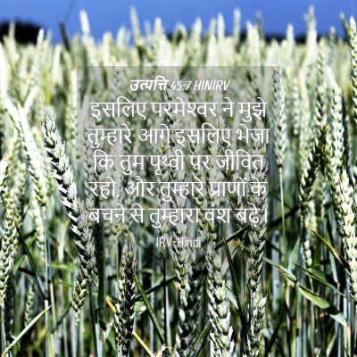 Picture 04 - उत्पत्ति 45:7 HINIRV - इसलिए परमेश्‍वर - Bible Verse Picture