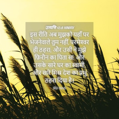 Picture 04 - उत्पत्ति 45:8 HINIRV - इस रीति अब मुझको - Bible Verse Picture