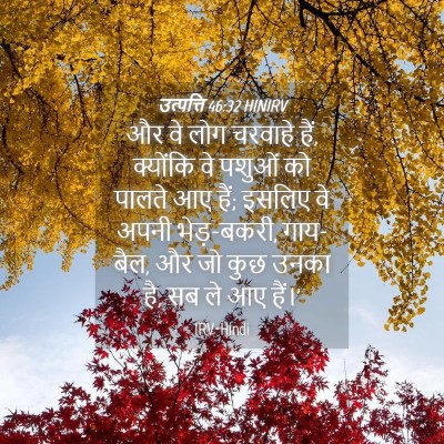 Picture 04 - उत्पत्ति 46:32 HINIRV - और वे लोग चरवाहे - Bible Verse Picture