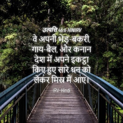 Picture 04 - उत्पत्ति 46:6 HINIRV - वे अपनी भेड़-बकरी, - Bible Verse Picture