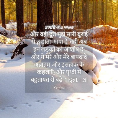 Picture 04 - उत्पत्ति 48:16 HINIRV - और वही दूत मुझे - Bible Verse Picture