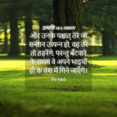 Picture 04 - उत्पत्ति 48:6 HINIRV - और उनके पश्चात् - Bible Verse Picture