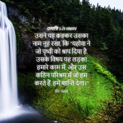 Picture 04 - उत्पत्ति 5:29 HINIRV - उसने यह कहकर उसका - Bible Verse Picture