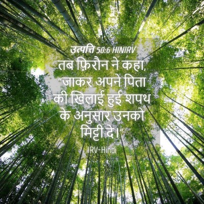 Picture 04 - उत्पत्ति 50:6 HINIRV - तब फ़िरौन ने कहा, - Bible Verse Picture