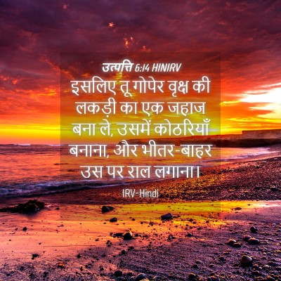 Picture 04 - उत्पत्ति 6:14 HINIRV - इसलिए तू गोपेर - Bible Verse Picture
