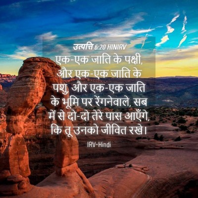 Picture 04 - उत्पत्ति 6:20 HINIRV - एक-एक जाति के - Bible Verse Picture