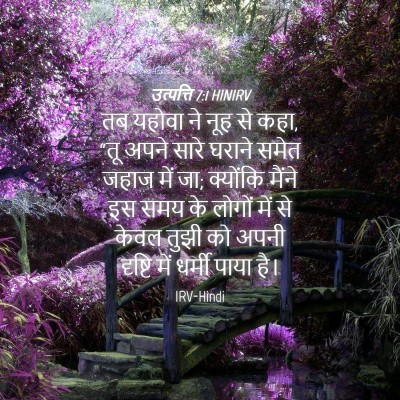 Picture 04 - उत्पत्ति 7:1 HINIRV - तब यहोवा ने नूह से - Bible Verse Picture