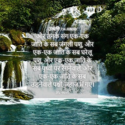 Picture 04 - उत्पत्ति 7:14 HINIRV - और उनके संग एक-एक - Bible Verse Picture