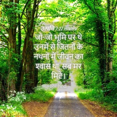Picture 04 - उत्पत्ति 7:22 HINIRV - जो-जो भूमि पर थे - Bible Verse Picture