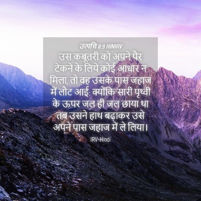 Picture 04 - उत्पत्ति 8:9 HINIRV - उस कबूतरी को अपने - Bible Verse Picture