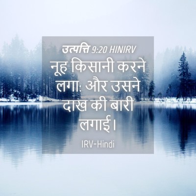 Picture 04 - उत्पत्ति 9:20 HINIRV - नूह किसानी करने - Bible Verse Picture