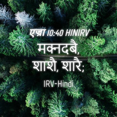 Picture 04 - एज्रा 10:40 HINIRV - मक्नदबै, शाशै, - Bible Verse Picture