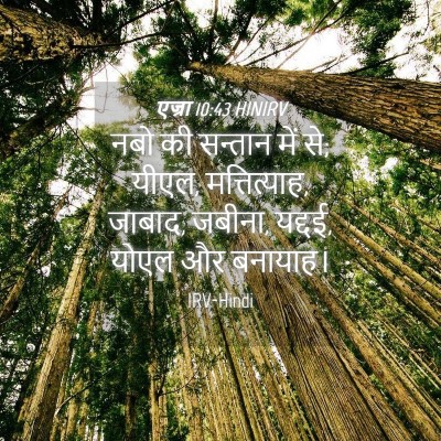 Picture 04 - एज्रा 10:43 HINIRV - नबो की सन्तान में - Bible Verse Picture