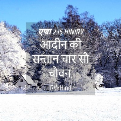 Picture 04 - एज्रा 2:15 HINIRV - आदीन की सन्तान चार - Bible Verse Picture