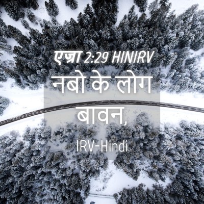 Picture 04 - एज्रा 2:29 HINIRV - नबो के लोग - Bible Verse Picture