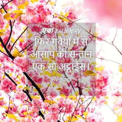 Picture 04 - एज्रा 2:41 HINIRV - फिर गवैयों में से - Bible Verse Picture