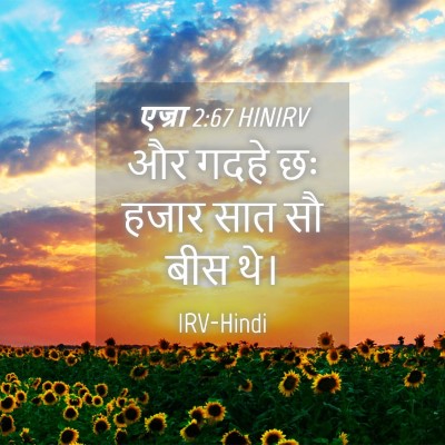 Picture 04 - एज्रा 2:67 HINIRV - और गदहे छः हजार सात - Bible Verse Picture