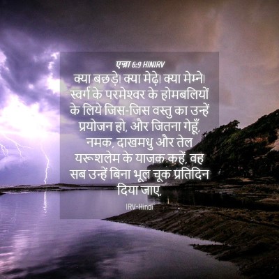 Picture 04 - एज्रा 6:9 HINIRV - क्या बछड़े! क्या - Bible Verse Picture