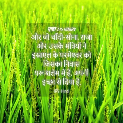 Picture 04 - एज्रा 7:15 HINIRV - और जो चाँदी-सोना, - Bible Verse Picture