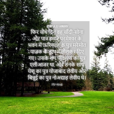 Picture 04 - एज्रा 8:33 HINIRV - फिर चौथे दिन वह - Bible Verse Picture