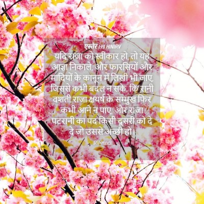 Picture 04 - एस्तेर 1:19 HINIRV - यदि राजा को - Bible Verse Picture