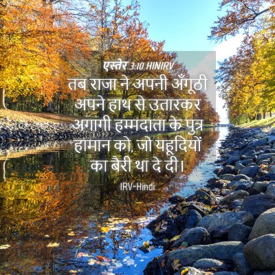 Picture 04 - एस्तेर 3:10 HINIRV - तब राजा ने अपनी - Bible Verse Picture