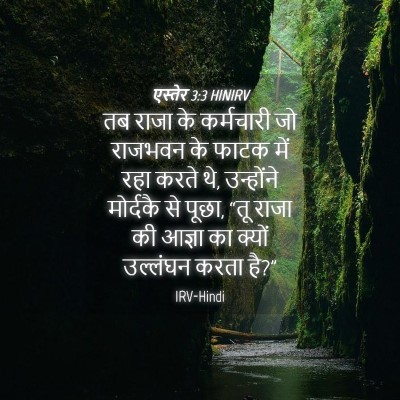 Picture 04 - एस्तेर 3:3 HINIRV - तब राजा के - Bible Verse Picture