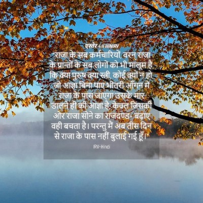 Picture 04 - एस्तेर 4:11 HINIRV - “राजा के सब - Bible Verse Picture