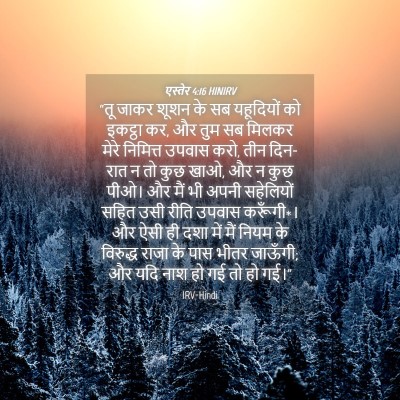 Picture 04 - एस्तेर 4:16 HINIRV - “तू जाकर शूशन के सब - Bible Verse Picture