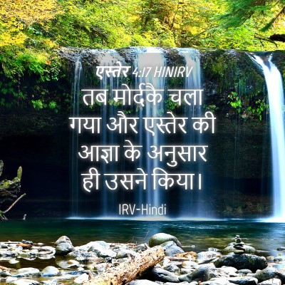 Picture 04 - एस्तेर 4:17 HINIRV - तब मोर्दकै चला गया - Bible Verse Picture